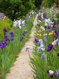 Claude Monet S Garden Giverney France May 2011 Jardins Jardin Monet Jardin Extraordinaire