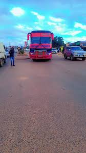 Image result for Habenaria rhopalostigma