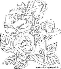 They printed it many times. Realistic Rose Coloring Pages Printable
