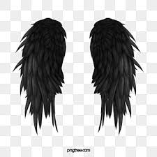 Black And White Wings Roblox Black Wings Wings Clipart Wing Pretty Wings Png Transparent Clipart Image And Psd File For Free Download In 2020 Wings Png Angel Wings Png Black Wings