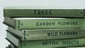 See more ideas about green aesthetic, green, aesthetic. Soft Green Aesthetic On Tumblr