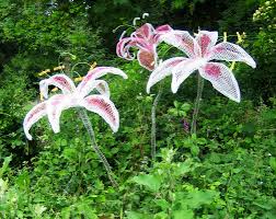 Pencil cactus is a tall succulent with long, spindly branches. 14 Chicken Wire Sculpture Diy Ideas Wire Sculpture Chicken Wire Sculpture Chicken Wire