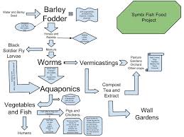 flow chart for the fish food project symbi biological