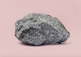 Many of these stories seemed to have been pared down to a nearly unreadable core of brisk verbs and. Elif Batuman S The Idiot Is A Luscious Examination Of Love And Language