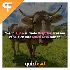 Pin Auf Unterhaltung