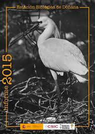 MEMORIA 2015designhg.pages