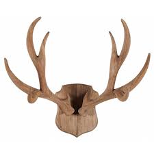 Deco Murale Bois De Cerf En Manguier Woody Deco Murale Bois Bois De Cerf Deco Murale