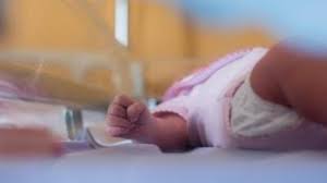 Baby Dies Of Rat Bites In Jammu Hospital Officials Order Inquiry