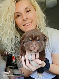 Essential Puppy Guide: Safe and Happy Home for Your New Pet