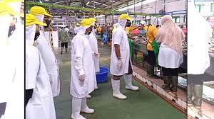 Semua info lowongan kerja bagi pencari atau perusahaan yang ingin merekrut karyawan bisa share di sini. Banyuwangi Terapkan Monev Ketat Protokol Kesehatan Di Sektor Industri Surya