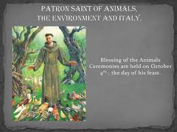 Francis of assisi, who honored you through all your creatures. Saint Francis Of Assisi