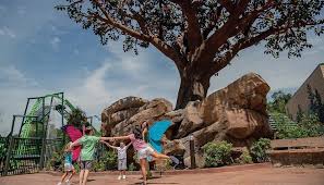 Next to outdoor activities for kids, let your kids play freezing toes. Best Group Activities In Pigeon Forge For A Memorable Vacation