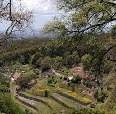 Monchique is the ideal nature holiday destination. Algarve Wandern Radfahren Paddeln Fur Aktivurlaub Perfekt Welt