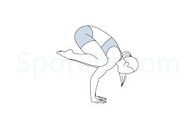 Well, then bookmark this page right now for it has the list of all different types of yoga poses, or asanas, from most popular to weird and crazy, from standard traditional to modern, from most difficult and hard to most gentle and basic yoga poses. Crow Pose Bakasana