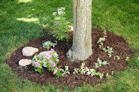3 Easy Ways To Dress Up Trees In Your Landscape In 2020 Mulch Landscaping Landscaping Around Trees Mailbox Landscaping