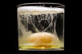 When to perform the mexican egg cleanse with egg? Nursing Clio The Egg In The Twenty First Century A Family S Holistic Healing And Cleansing Practice