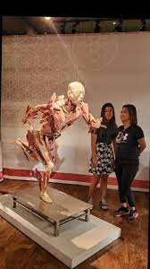 Human Statue in Las Vegas on Bench with Kids | TikTok