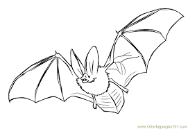 You can also tape a string at the back and hang the halloween. Bats Coloring Page For Kids Free Bat Printable Coloring Pages Online For Kids Coloringpages101 Com Coloring Pages For Kids