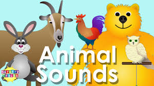 Best Animal Sounds Song Part 2 - YouTube