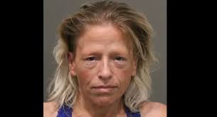 Woman gets 70 years in prison for killing 2 Metro Detroit bicyclists in  Michigan charity ride