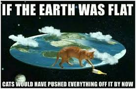 Best Argument Against A Flat Earth Www Purrlux Com Cats Purr In Luxury Cat Cats Kitten Cattattoo Tattoo Meme Purrl Funny Memes Relatable Pics
