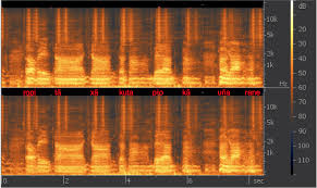 Paul young from time to time: Broken Words Furious Wasps How Should We Translate The Sonic Materiality Of Arawete Ritual Singing