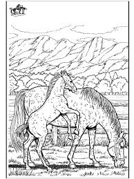 Pin On Horse Coloring Pages