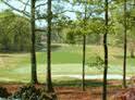 North Carolina Women's Amateur Championship