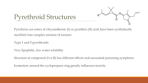 Image result for Pyrethroid