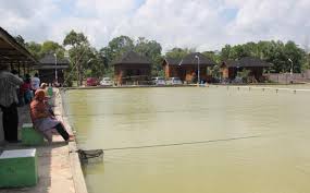 Tujuh Hari English Super Camp Di Pemancingan Az Zahra Balikpapan Tribun Kaltim