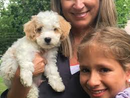 Downers Grove Magazine September 2020 by Hinsdale Magazine Group