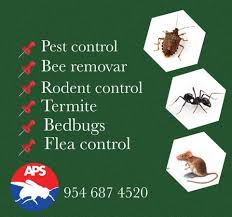 We did not find results for: Pest Control Termitas Cucarachas Roedores Chinches De Cama Hormigas En Pembroke Pines Otros Servicios 152281