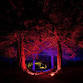 Woodland Light Trail - Traquair House, Traquair Event Image