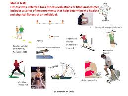 15 Fitness Assessment