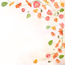 Maybe you would like to learn more about one of these? Poppy Flowers Background Photograph By Svetlana Foote