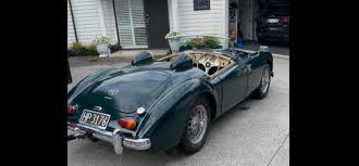Image result for Sunberry White 1962 MG