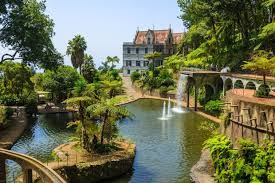 Jardin Tropical Du Monte Palace Jardin Tropical Les Plus Beaux Jardins Funchal