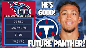 Should the Panthers Target Free Agent This WR?