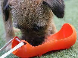 We did not find results for: 3d Vorlage Hunde Wassernapf Download Chip