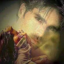 Timothy DiVito (@timothy.divito.3) • Instagram photos and videos