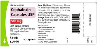 Image result for Cephalexin