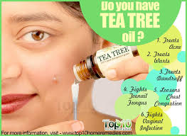 Top 10 Health Benefits Of Tea Tree Oil Top 10 Home Remedies Tea Tree Oil Benefits Tea Tree Oil Tea Tree Oil For Acne