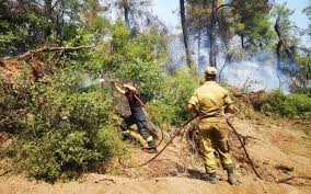 Jun 23, 2021 · pompierii din mureş intervin miercuri pentru stingerea unui incendiu care a izbucnit la un autobuz în oraşul târnăveni. Spovixs8x4wnkm
