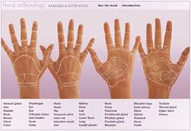 Hand Reflexology Interactive Reflexology Research Project