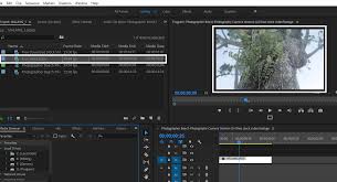 Cara instal adobe premiere, adobe premiere dapat diinstal ke pc atau laptop dengan terlebih jika tidak mengaktifkan koneksi internet saat proses instalasi berlangsung, koneksi bisa diaktifkan nanti saat untuk cara instal adobe premiere pro ini sama, yaitu ekstrak file hasil unduhan tadi, bisa. Cara Mengatasi Adobe Premiere Yang Tidak Bisa Dibuka
