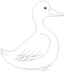 resultat de recherche d images pour رسم بطة للتلوين art kids education animals