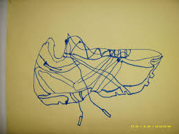 Blind Contour Drawing Of Tennis Shoe By 7th Grader Blind Contour Drawing Contour Drawing Drawings