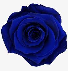 Blue flowers bouquet dark blue flowers exotic flowers yellow roses pink roses. Prev Dark Blue Flower Png 932x882 Png Download Pngkit