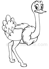 Find high quality ostrich coloring page, all coloring page images can be downloaded for free for personal use only. Ostrich Coloring Page Cartoon Style