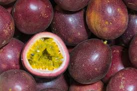 Image result for Passiflora edulis